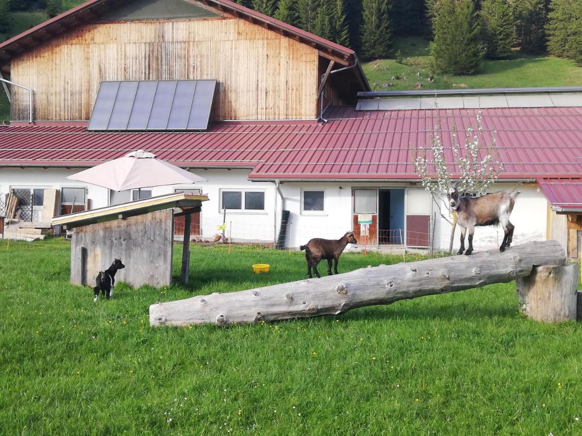 Lenzerhof Villa Grän Buitenkant foto